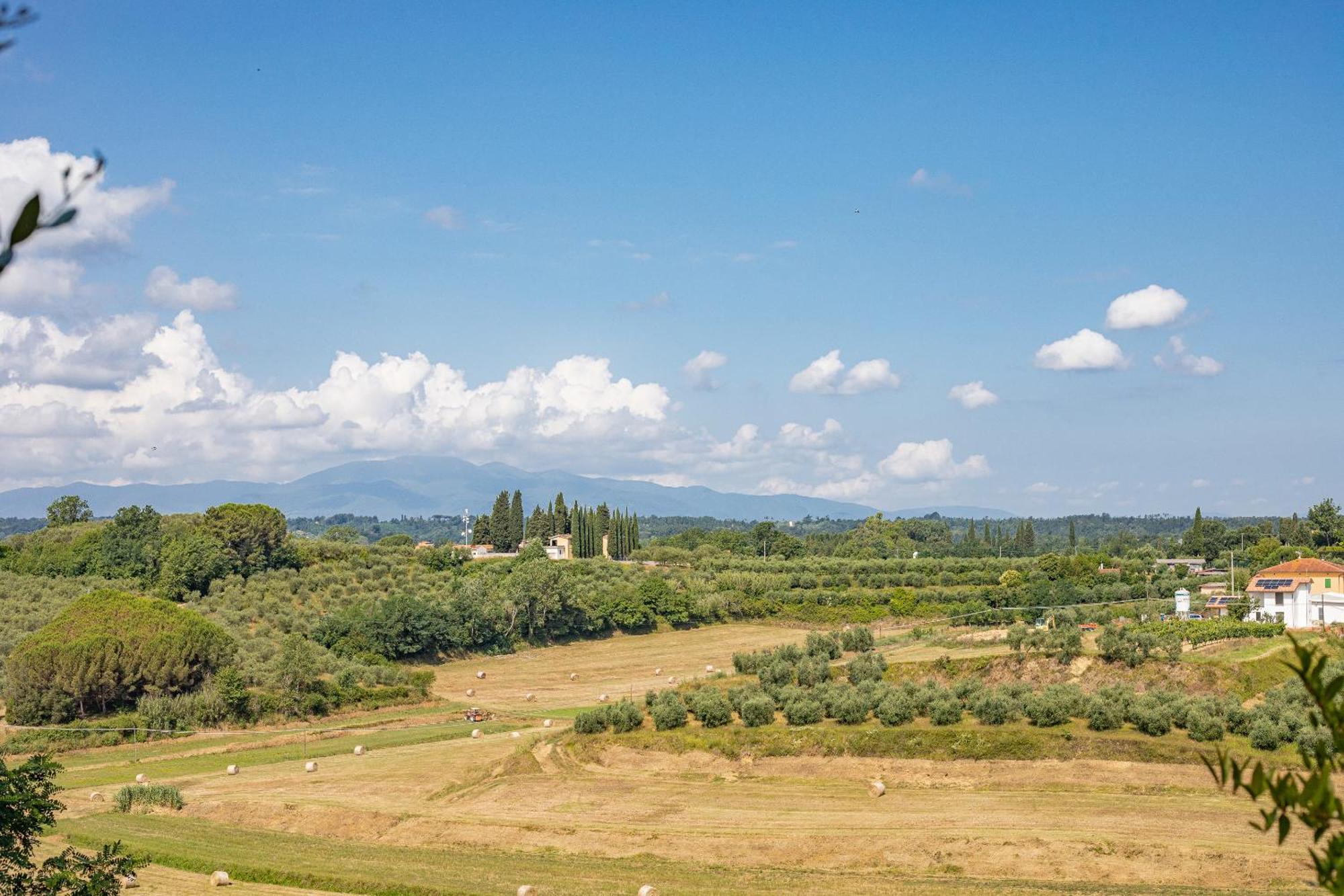Fienile Cipresso, Art Of Living Tuscany Torre Екстериор снимка